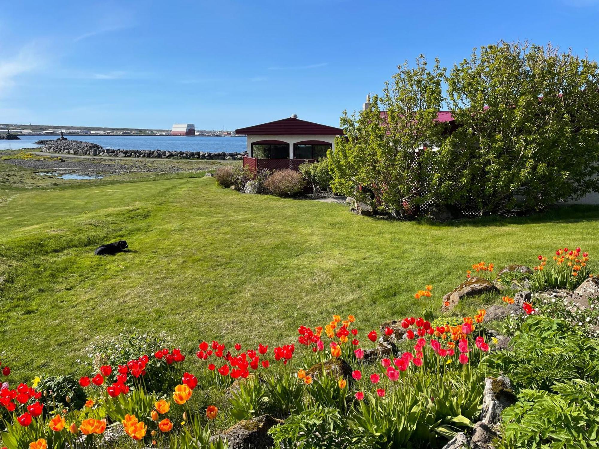 Apartment Alka - Cozy By The Sea With Private Hot Tub *